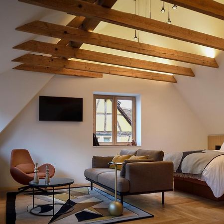 Rive Petite Venise Appartement Luxe - Centre Ville Colmar - Clim, Ascenseur & Possibilite Parking 외부 사진