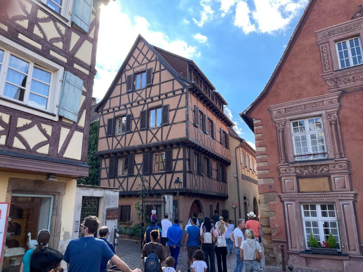 Rive Petite Venise Appartement Luxe - Centre Ville Colmar - Clim, Ascenseur & Possibilite Parking 외부 사진